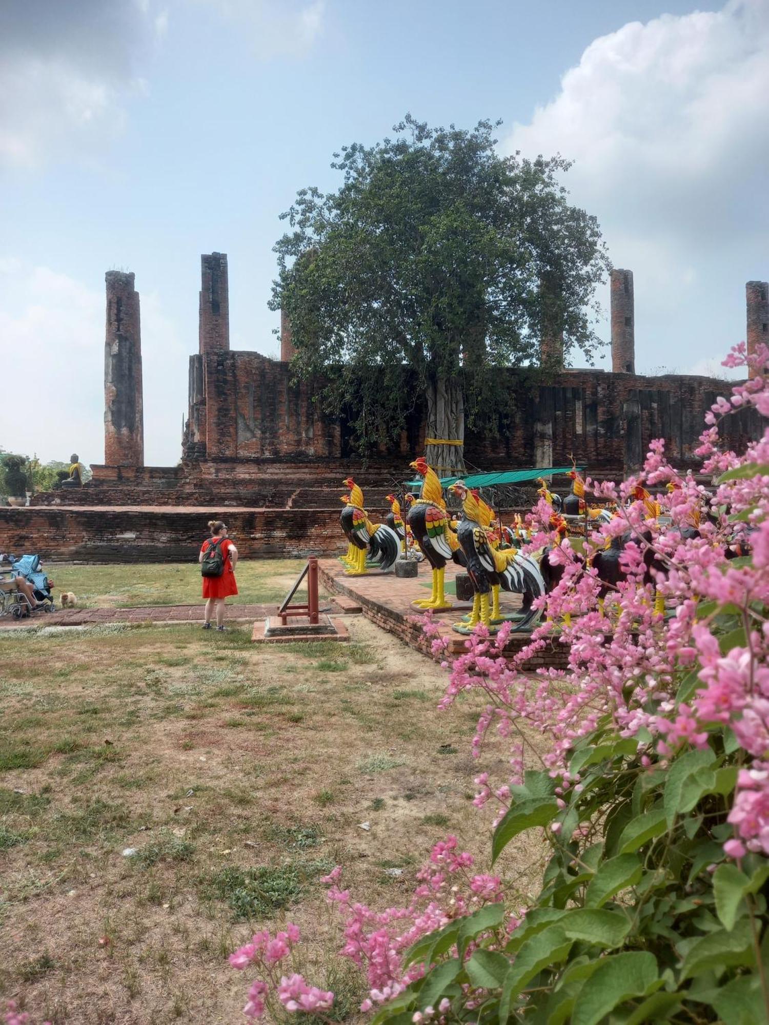 Plus Hostel Ayutthaya Ngoại thất bức ảnh